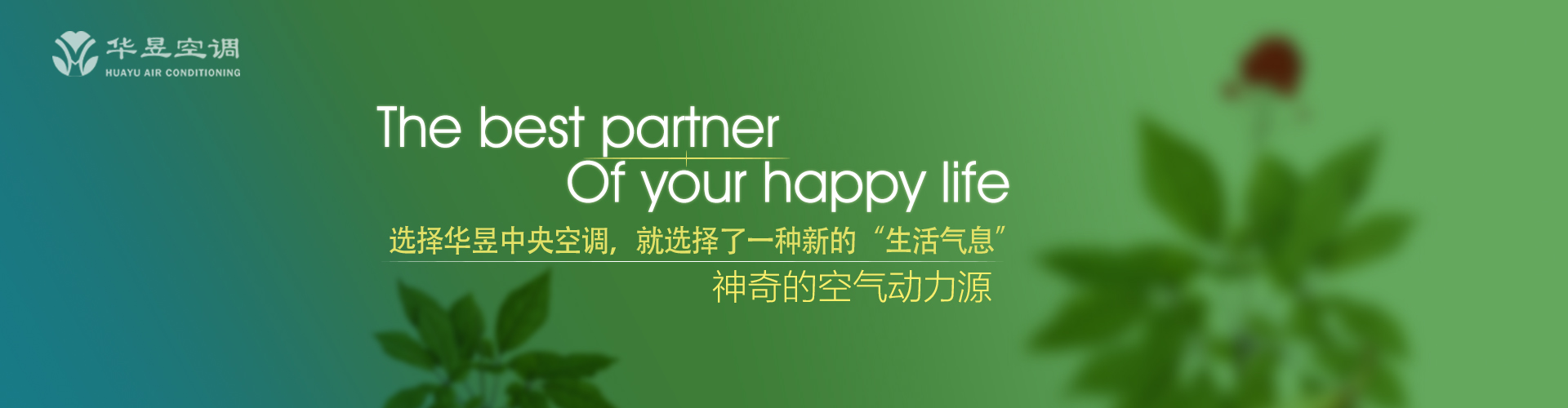超尘出俗网